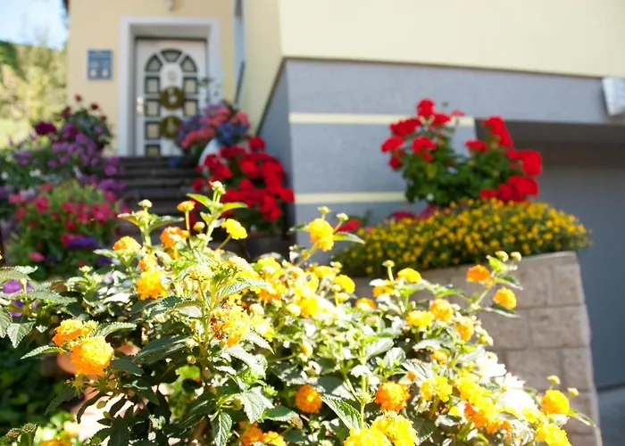 Haus Fritzenwallner 2 Apartment